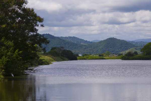 Humacao Wildlife Refuge, Southeast Puerto Rico