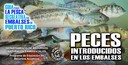 Portada peces introducidos