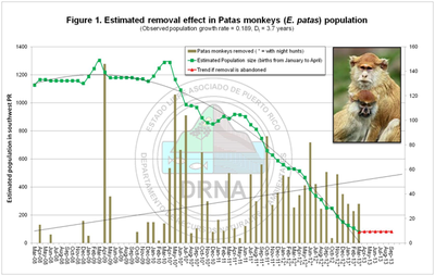 Patas monkey control to March 2013