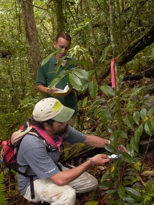 Biológos de la División tomando datos de flora en peligro de extinción