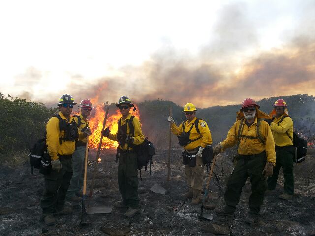  Bomberos forestales del DRNA combaten el fuego