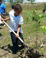 DRNA y Municipio de Barceloneta se unen en proyecto de reforestación en el Río Grande de Barceloneta