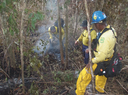 Bomberos Trabajando