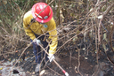 DRNA REALIZA TRABAJOS DE PREVENCIÓN DE INCENDIOS FORESTALES EN GUÁNICA