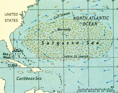 Mapa Mar del Sargazo