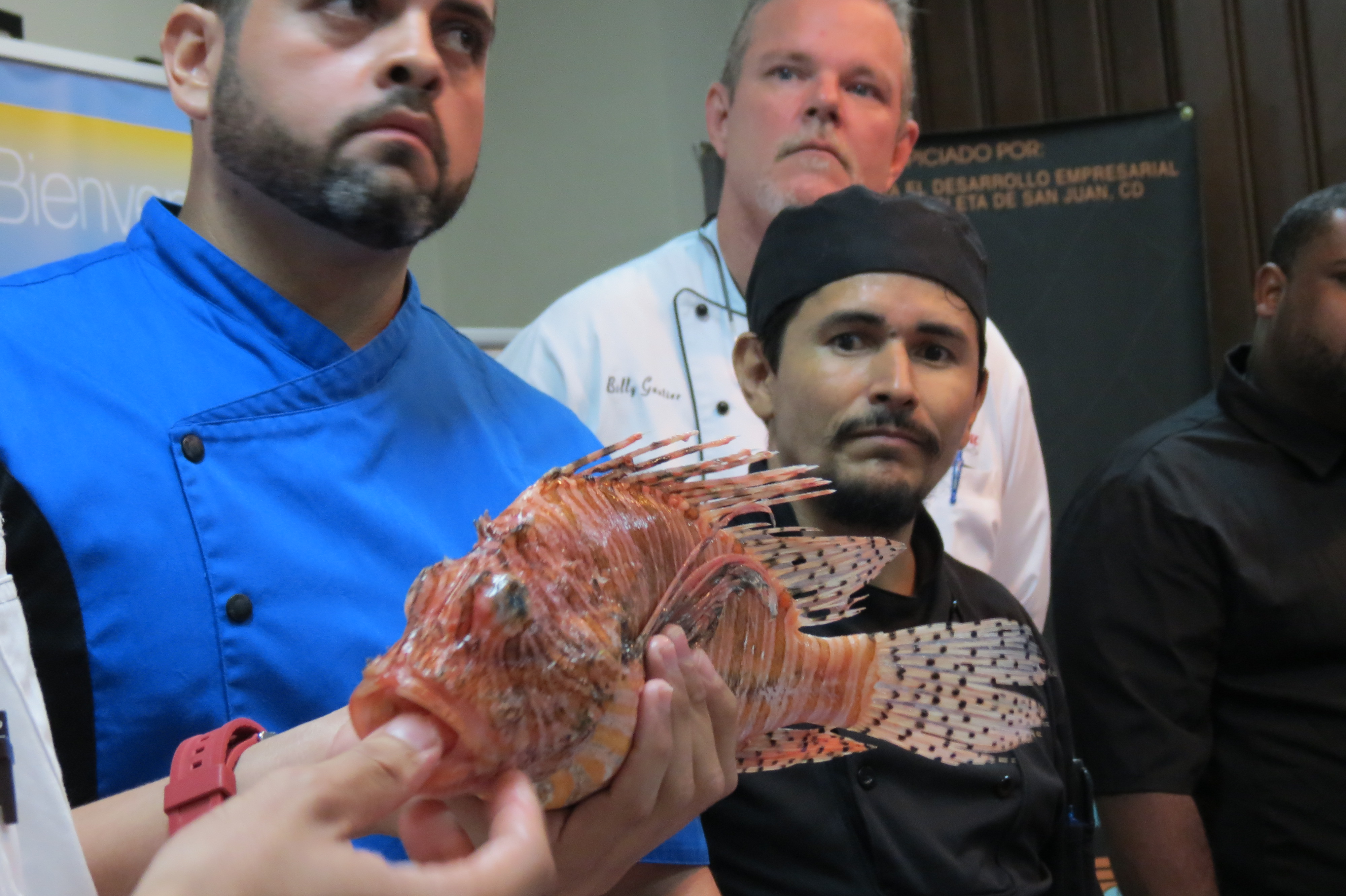 Chefs reciben primer adiestramiento de manejo y preparación del pez león