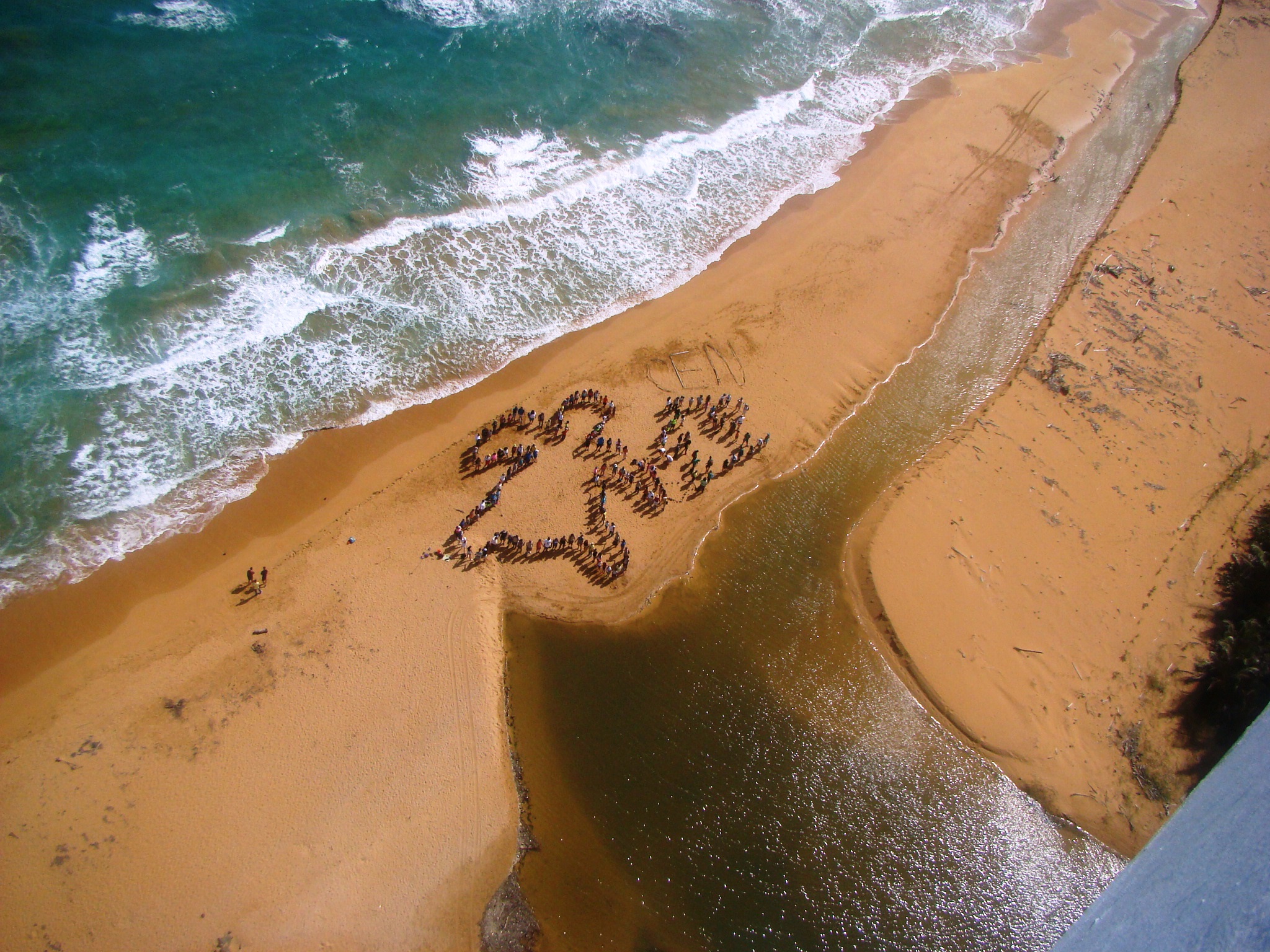 Preparan las playas para la época de anidaje del Tinglar