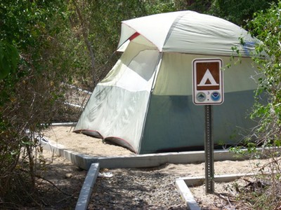 Bosque Estatal de Aguirre