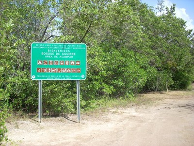 Bosque Estatal de Aguirre