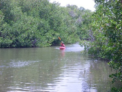 Bosque Estatal de Aguirre