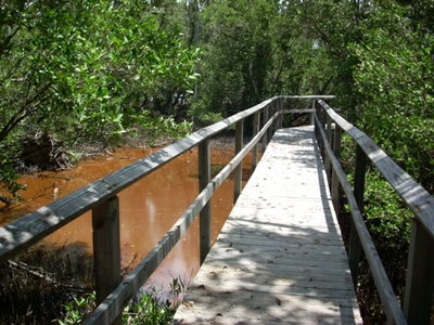 Bosque Estatal de Aguirre