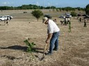 Cierre 2006 Verdor 100 x 35