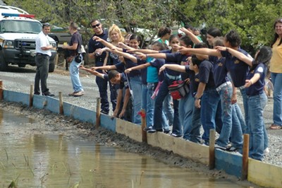 Siembra en La Parguera, Lajas