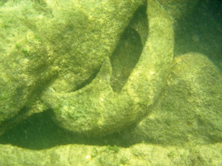 Gomas en el fondo marino