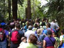 Caminata Guiada al Charco La Confesora